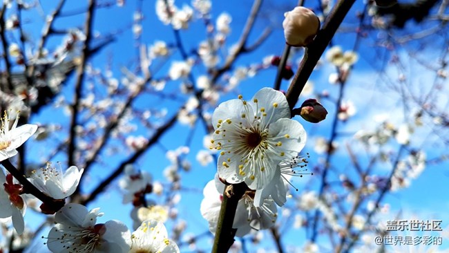 每周精帖匯【第40期：拒絕年后綜合癥 新年新機才是正經(jīng)事】