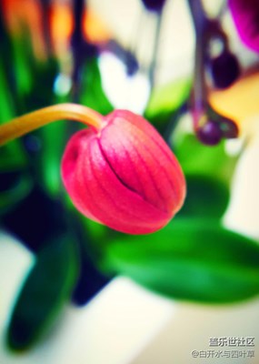 年味+北京+愛(ài)琴海里的年味