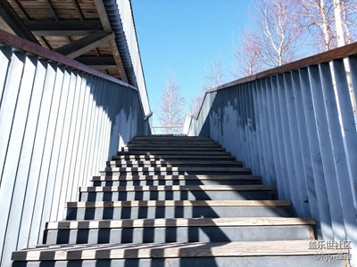 【年味】+哈爾濱+節(jié)日徒步拍