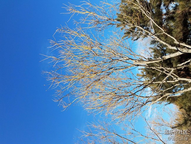 不用天天盯著升級，帶著手機看看外面的風景吧