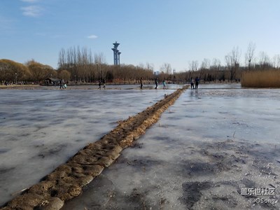 昨天的奧森公園，美景美人