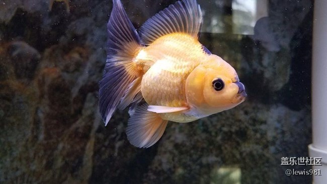 繼續(xù)拍拍魚Y(＾_＾)Y