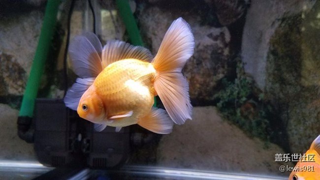 繼續(xù)拍拍魚Y(＾_＾)Y