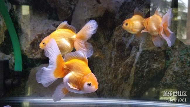 繼續(xù)拍拍魚Y(＾_＾)Y