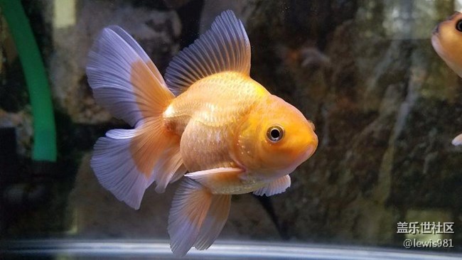 繼續(xù)拍拍魚Y(＾_＾)Y