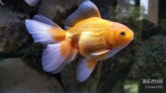 繼續(xù)拍拍魚Y(＾_＾)Y