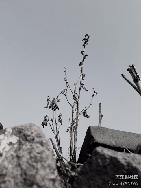 過(guò)年回家隨拍