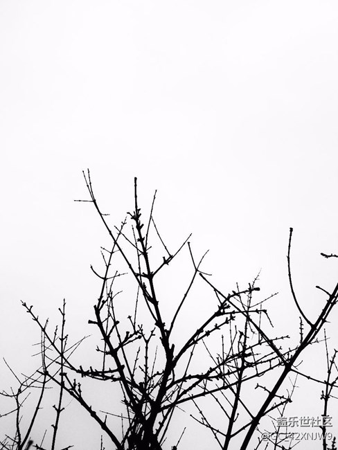 過(guò)年回家隨拍