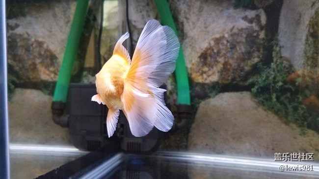 繼續(xù)拍拍魚Y(＾_＾)Y