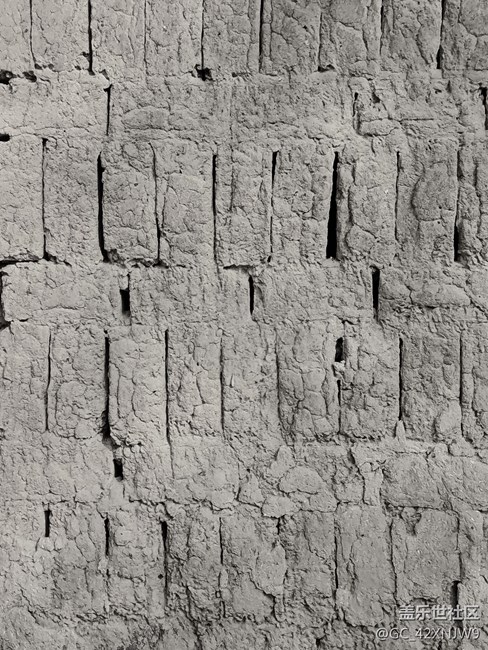 過(guò)年回家隨拍