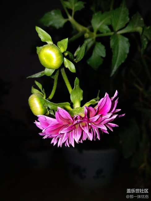 C7剛買拍的照片