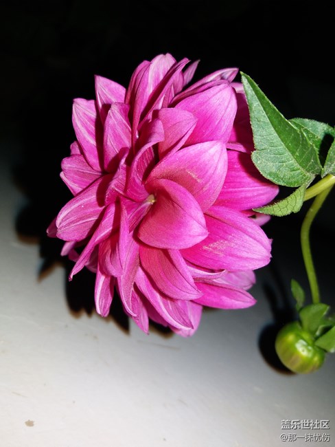 C7剛買拍的照片