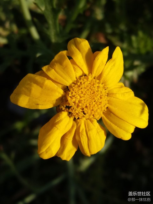 C7剛買拍的照片