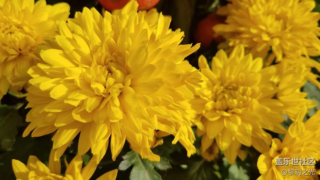 2月9日簽到帖，進來看看，有沒有涉 黃？