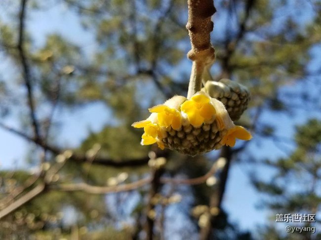 今天在公園里面隨便拍些照片，分享一下。