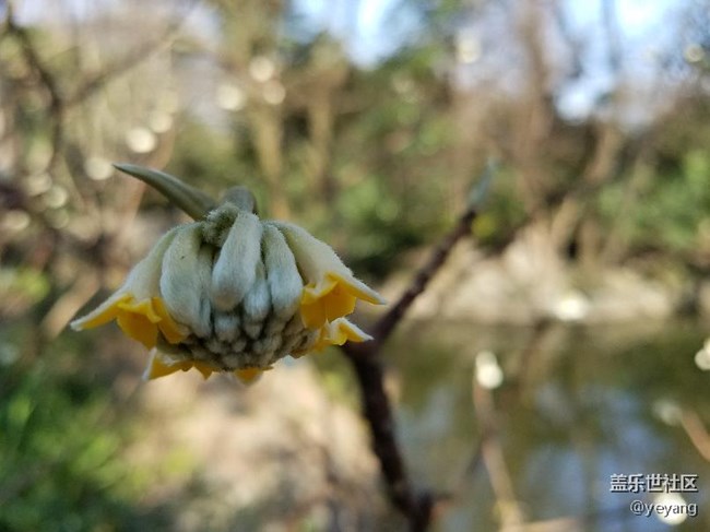 今天在公園里面隨便拍些照片，分享一下。