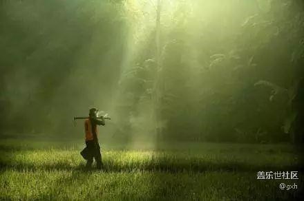 句句大實(shí)話，我服了！6