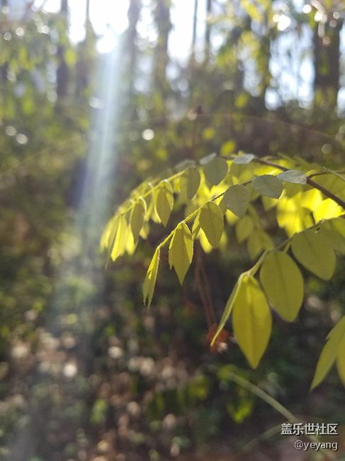 今天在公園里面隨便拍些照片，分享一下。