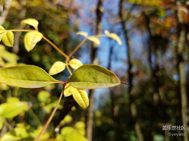 今天在公園里面隨便拍些照片，分享一下。