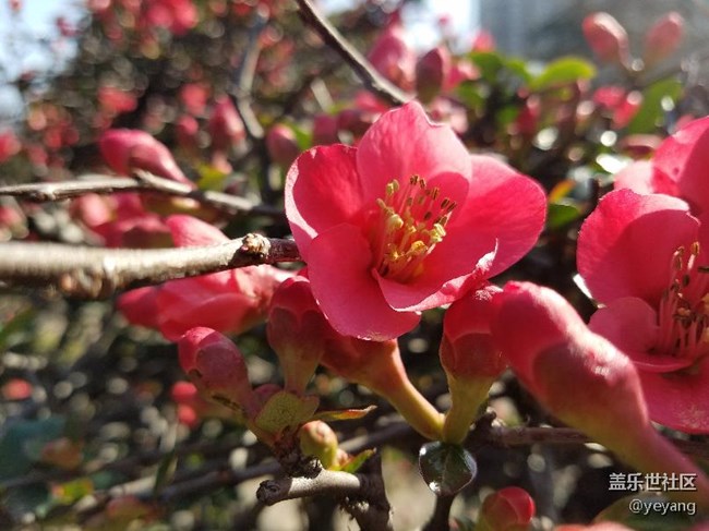 今天在公園里面隨便拍些照片，分享一下。