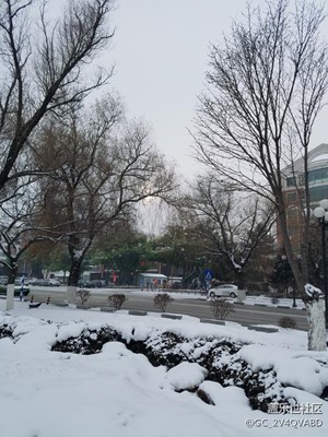 雪