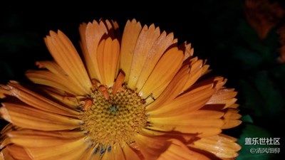 手機(jī)巧用夜間補(bǔ)光燈