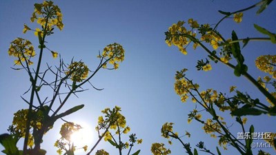 天真好??！爆個(gè)照