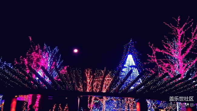 藍(lán)港元宵節(jié)燈光秀