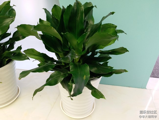 三星 Galaxy C7 Pro 測評