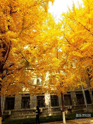 發(fā)現(xiàn)生活中的美