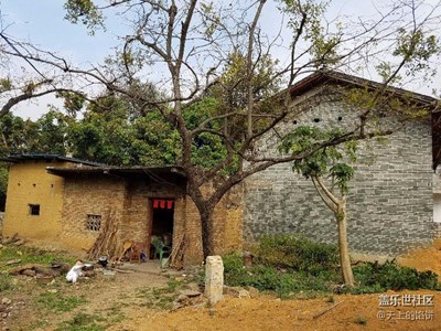 窗外+廊廖+老家兒時回憶