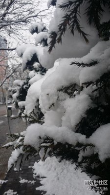 窗外+伊寧+初春雪后