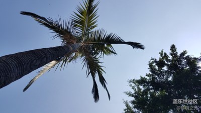 公園隨拍 第三期