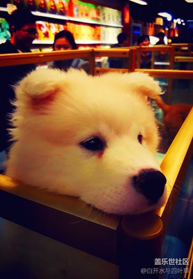 窗外+北京+你在我窗外，我在你窗外