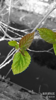 頑強(qiáng)的生命力……