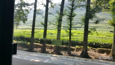 窗外+杭州+公交車窗
