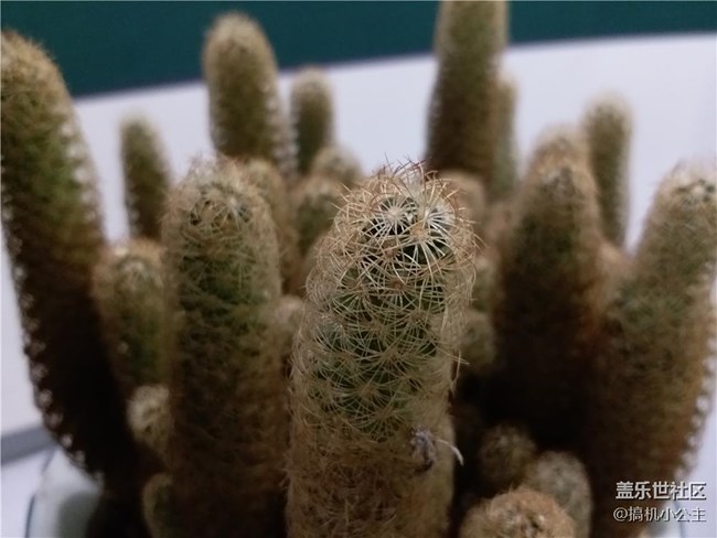 “剛剛好”這個(gè)詞我只想用給它——三星Galaxy C7 Pro