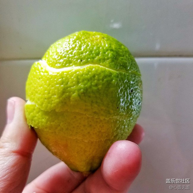原來檸檬是要這樣吃的，之前的檸檬都沒有吃對