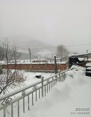 初春的季節(jié)，嚴(yán)冬的景象