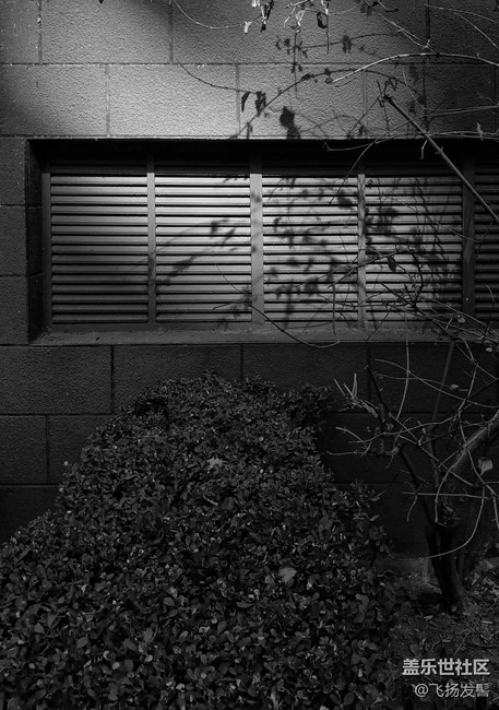 中端輕奢利器，三星Galaxy C7 Pro「圖賞」