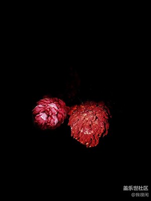 回了趟老家，無聊拍了幾張，新手拍，勿噴