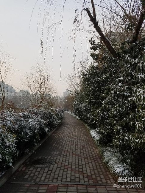 2017年的第二場雪