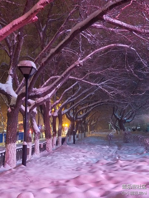 7·0雪景照片，天氣原因，沒任何修圖