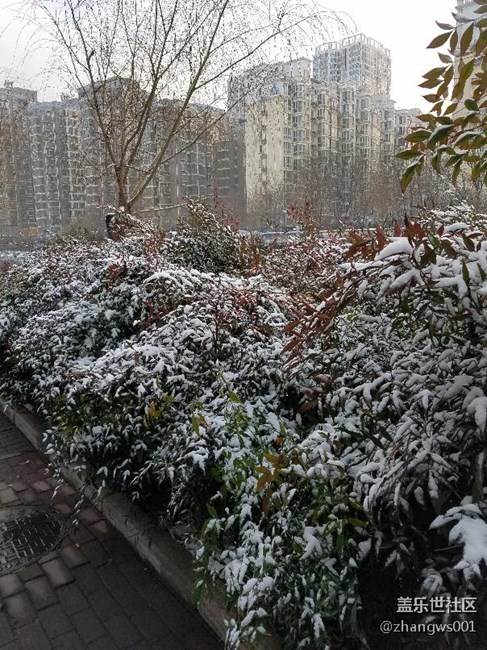 2017年的第二場雪