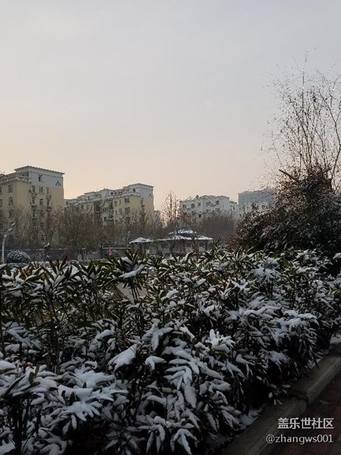 2017年的第二場雪