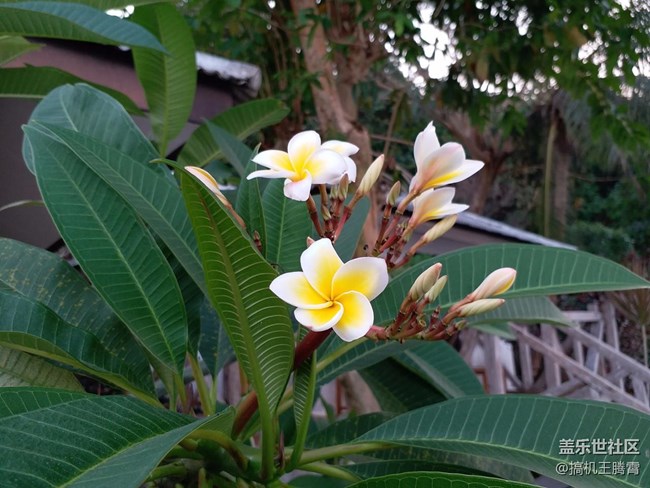 誰說濃縮就不是精華，三星Galaxy C7 Pro深度體驗(yàn)