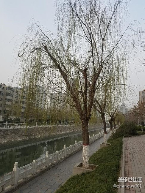 二月春風(fēng)似剪刀