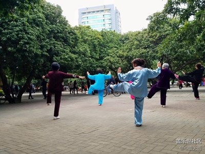 【三星蓋樂世 S7】深圳的清晨，遇到各種美好