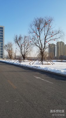 晚冬的早晨，你好~~