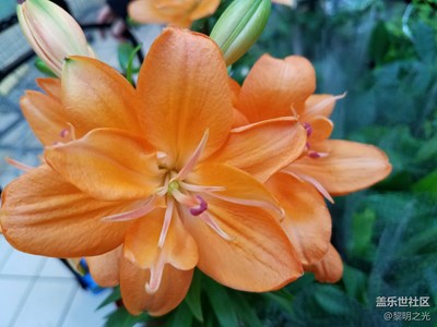 公園隨拍 第六期